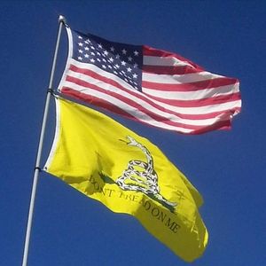 Meet your Posher, Bruce